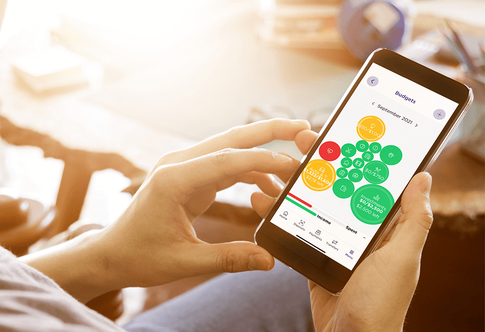 BrioDirect mobile app budget screen